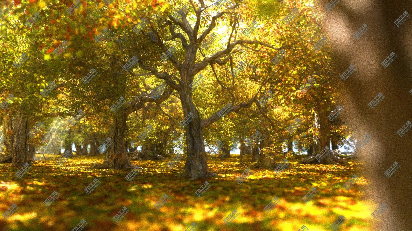 images/goods_img/202105073/Autumn Forest Animated 3D/3.jpg